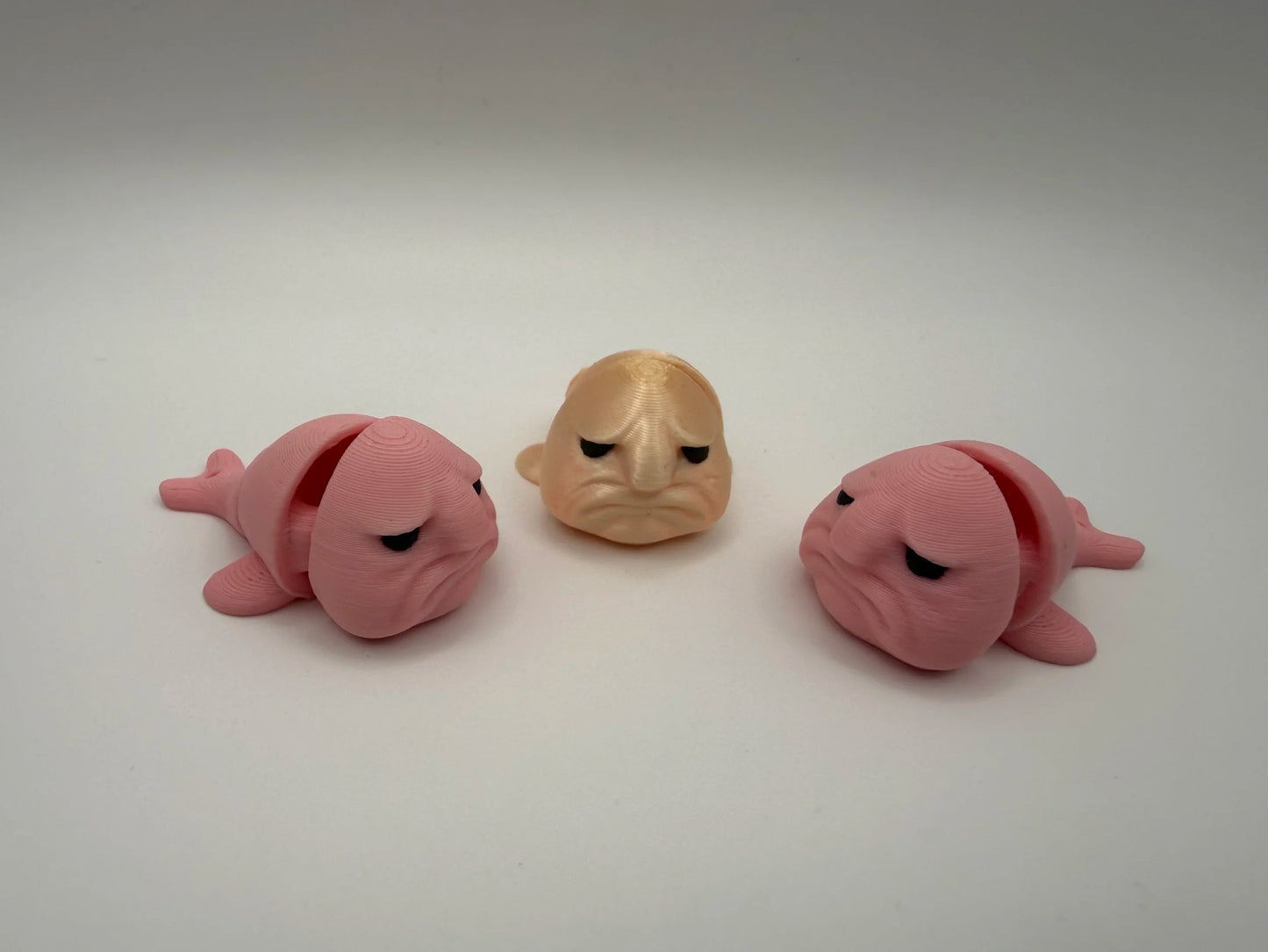 Blob Fish "The Worlds Ugliest Fish"