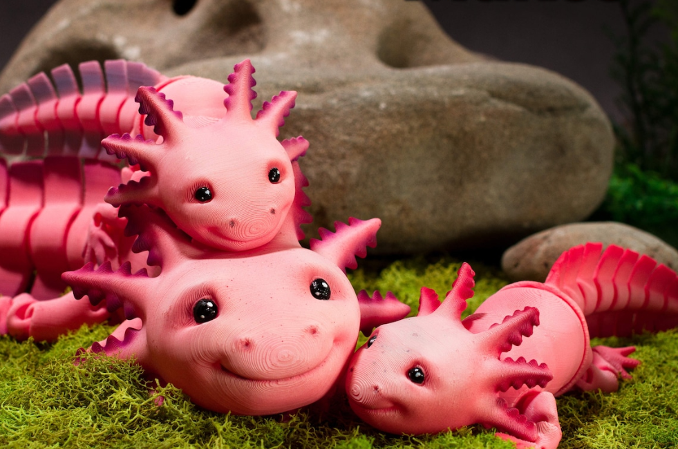 Model Animals And Creatures