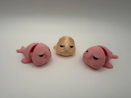 Blob Fish "The Worlds Ugliest Fish"