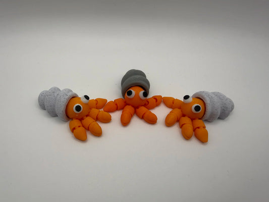 Hermit Crab