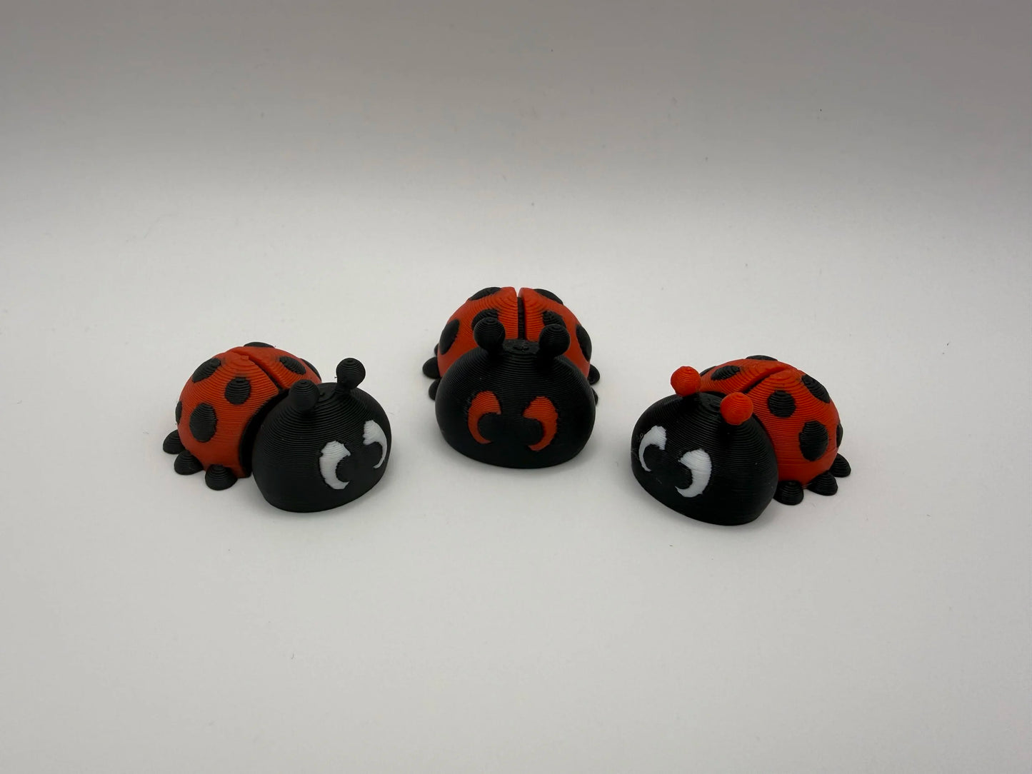 Ladybird