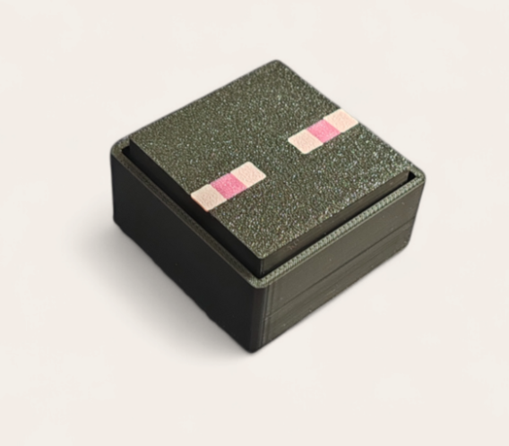 Minecraft Clicker Fidget Toy