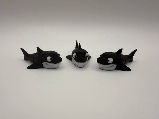 Smiling Shark